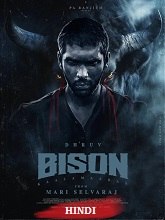 Bison